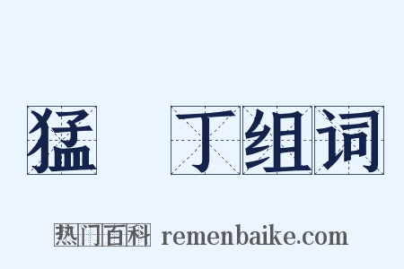 猛趷丁组词是什么意思的图片